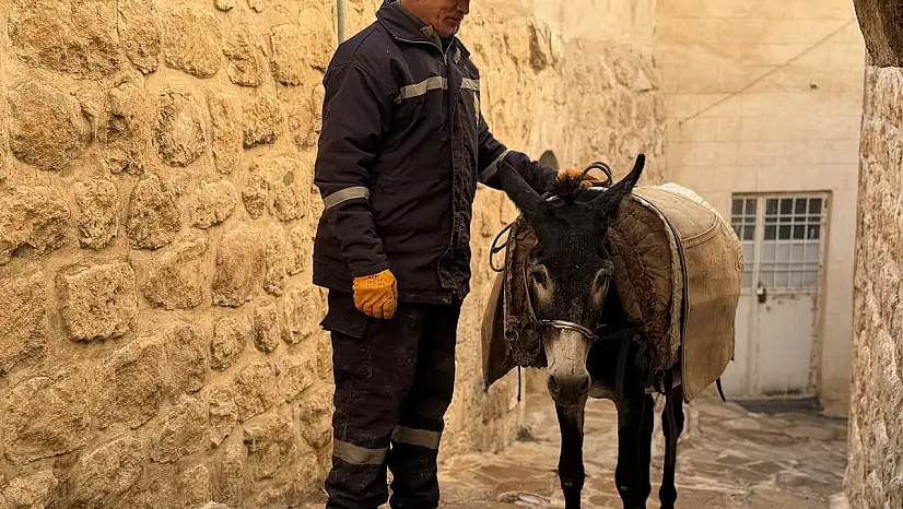 Teknoloji, kadrolu eşekleri emekliye ayırıyor
