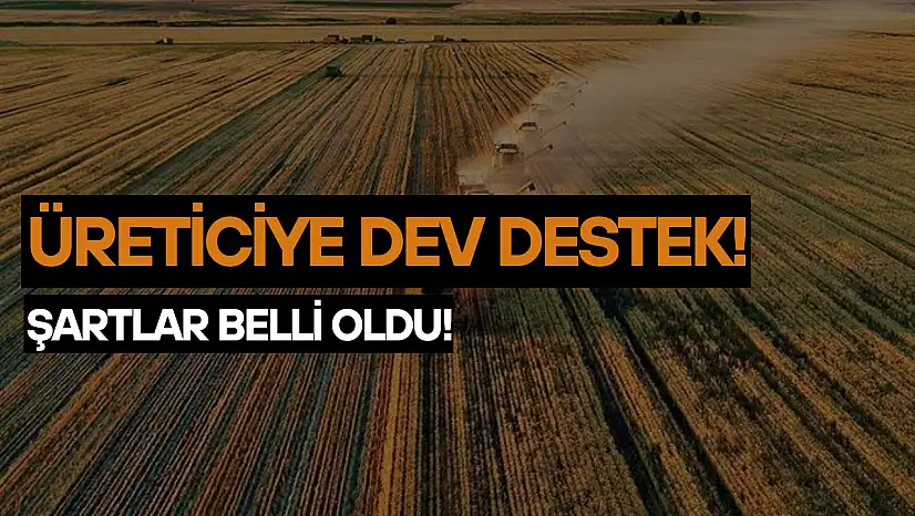 Üreticiye dev destek: Şartlar belli oldu!