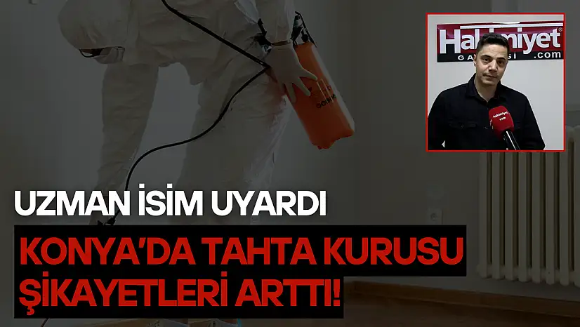 Uzman isim uyardı: Konya'da tahta kurusu şikayetleri arttı!
