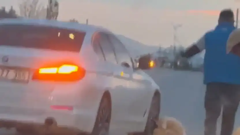 Konya'da kuzu sürüsüne dalan otomobil faciaya neden oldu: Çok sayıda hayvan telef oldu!