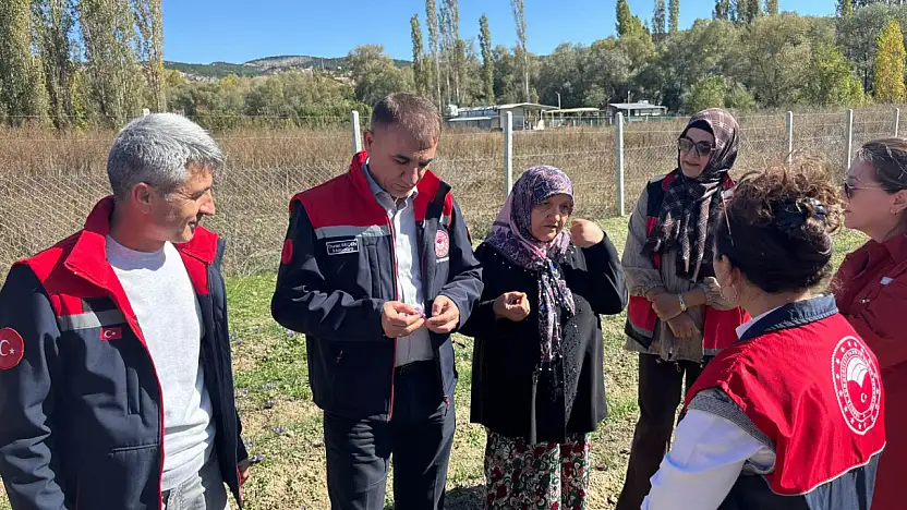 Konya tarımında ürün çeşitliliği artıyor