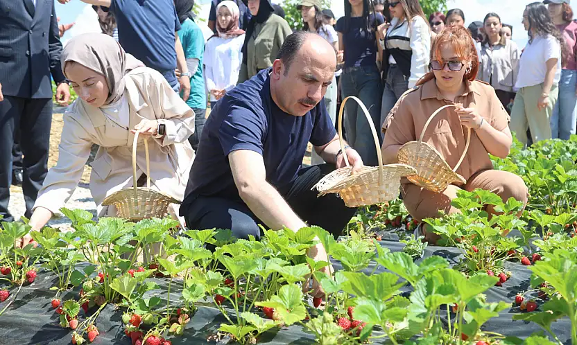 31 ilçede başvurular başlıyor! Konya'da çiftçiye yüzde 75 hibe