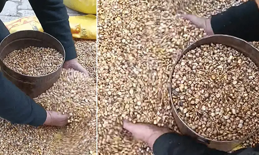 Anadolu'nun kayıp terazisi Konya'da gün yüzüne çıktı