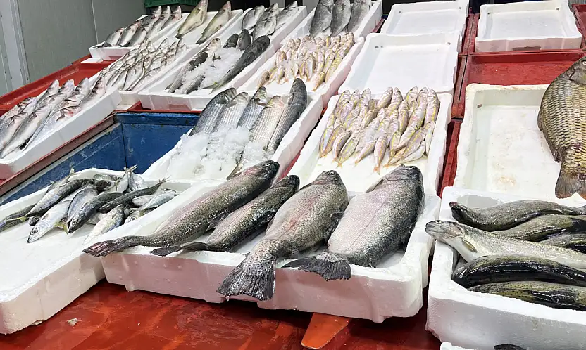 Geç soğuyan havalar Konya balıkçısını zorluyor