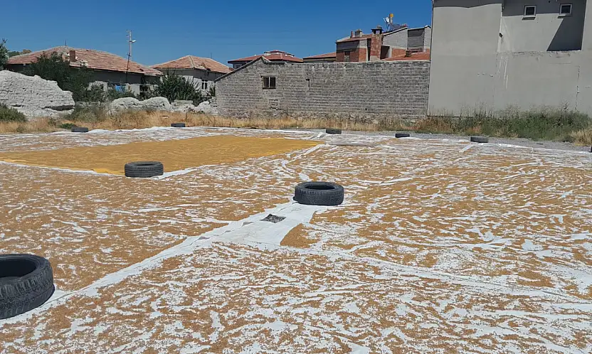 Hasat bitti, şimdi kazanlar kaynıyor! Konya'da günler süren telaş başladı