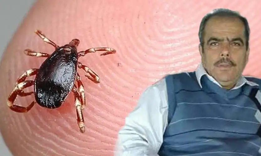Kene kabusu Konya'da can aldı
