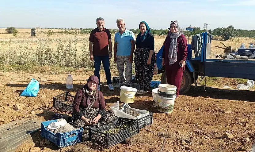 Konya çilek üretiminde merkez oluyor!