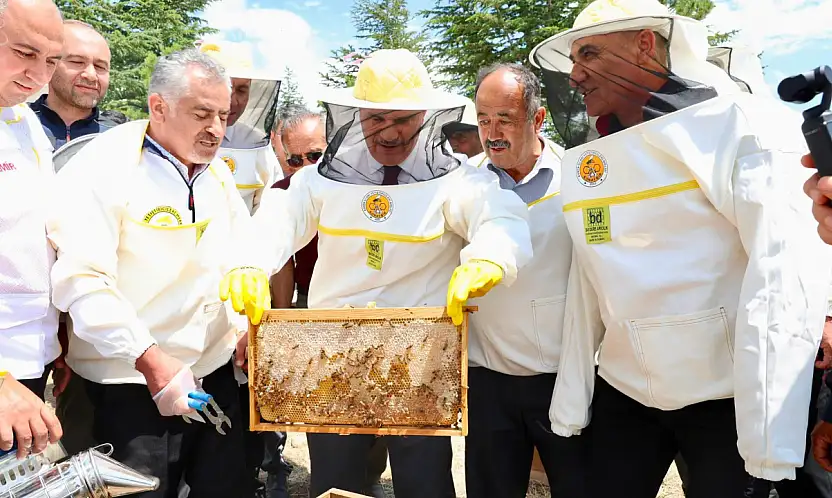 Konya'da 127 bin arı kolonisiyle 900 ton bal üretildi