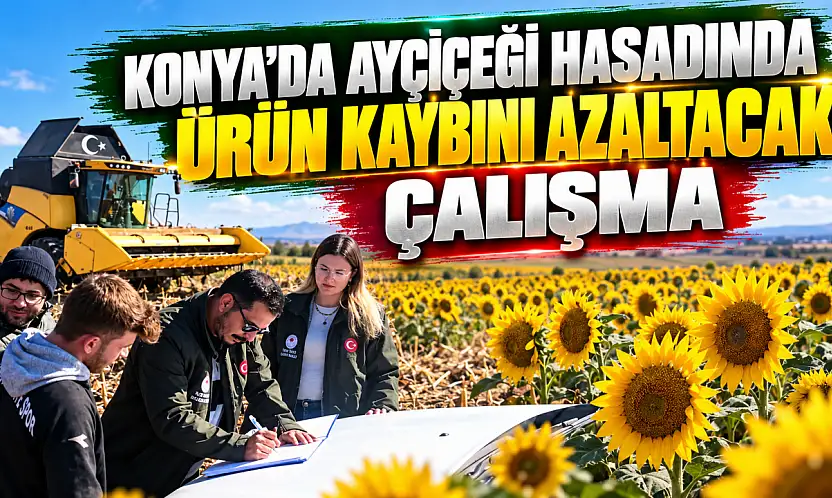 Konya'da ayçiçeği hasadında ürün kaybını azaltacak çalışma