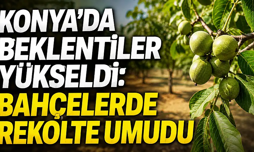 Konya'da beklentiler yükseldi: Bahçelerde rekolte umudu