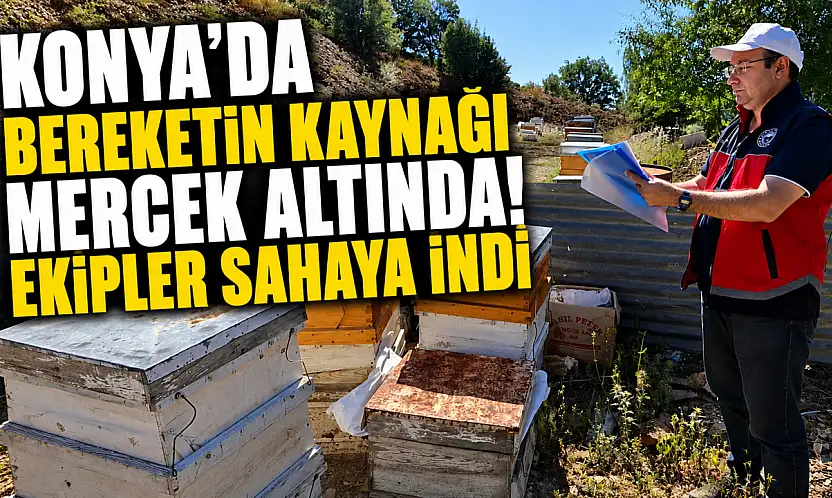 Konya'da bereketin kaynağı mercek altında! Ekipler sahaya indi