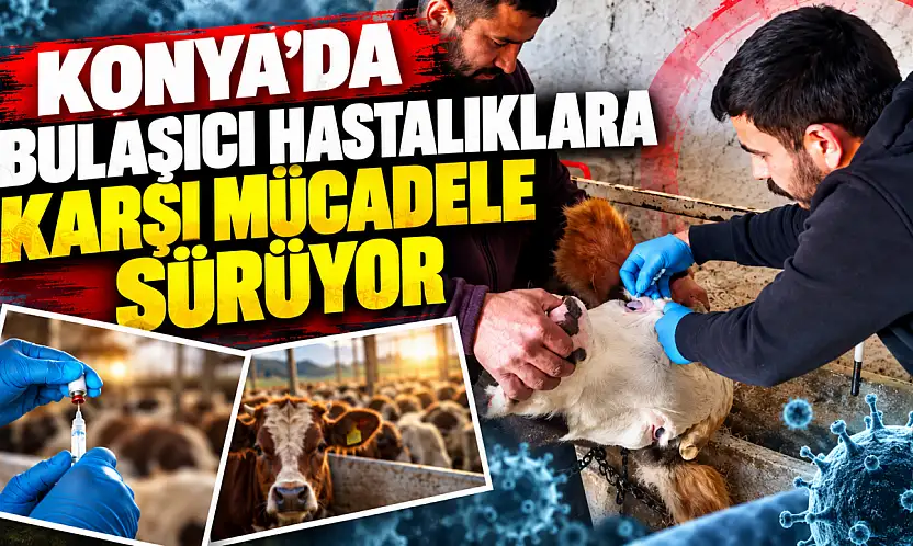 Konya'da bulaşıcı hastalıklara karşı mücadele sürüyor