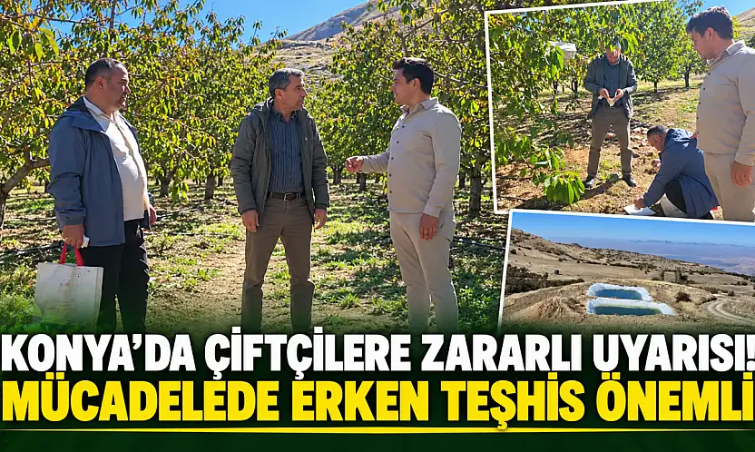 Konya'da çiftçilere zararlı uyarısı! Mücadelede erken teşhis önemli