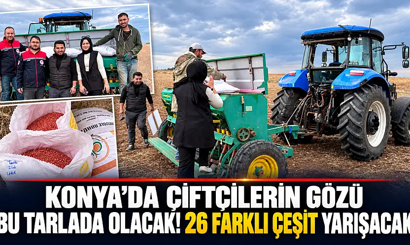 Konya'da çiftçilerin gözü bu tarlada olacak! 26 farklı çeşit yarışacak