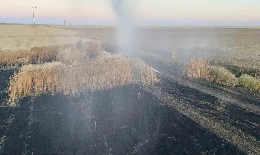 Konya'da çiftçinin emeği ziyan oldu!