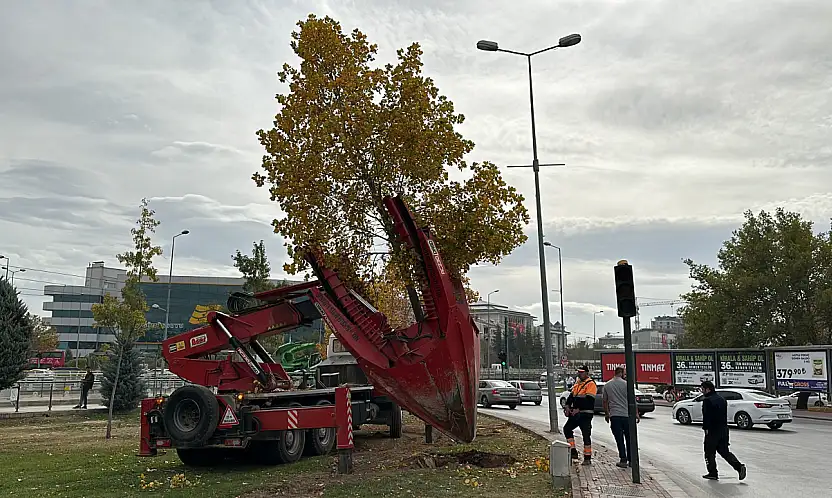 Konya'da dev proje için tek bir ağaca bile kıymadılar