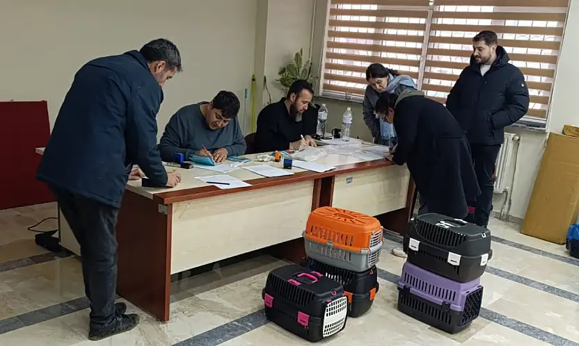 Konya'da dijital kimlik çalışmaları hız kazandı