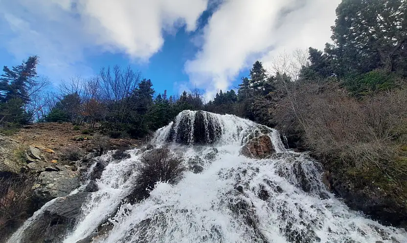 Konya'da doğanın gizli mucizesi! Yılda sadece 2 ay görünüyor