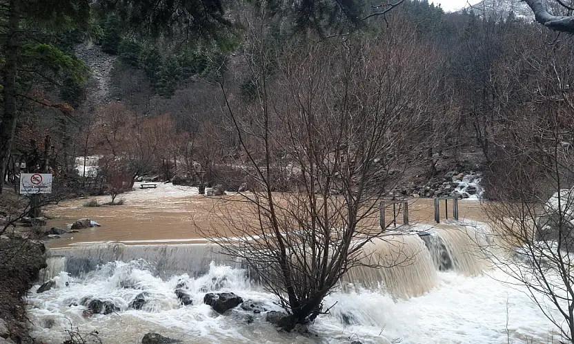 Konya'da erken bahar sevinci: Yağışlar kaynağı bir ay önce coşturdu