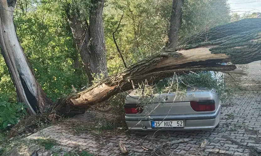 Konya'da fırtına yıktı geçti!
