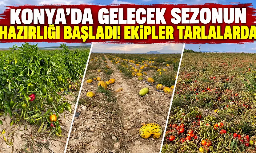 Konya'da gelecek sezonun hazırlığı başladı! Ekipler tarlalarda