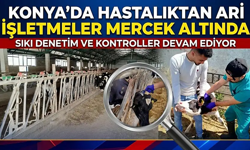 Konya'da hastalıktan ari işletmeler mercek altında