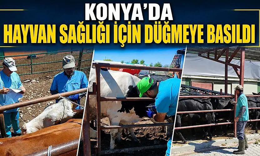 Konya'da hayvan sağlığı için düğmeye basıldı