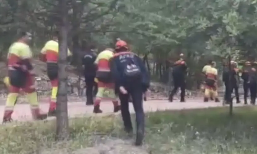 Konya'da hayvanlarını otlatan kadın kayboldu: Her yerde aranıyor!
