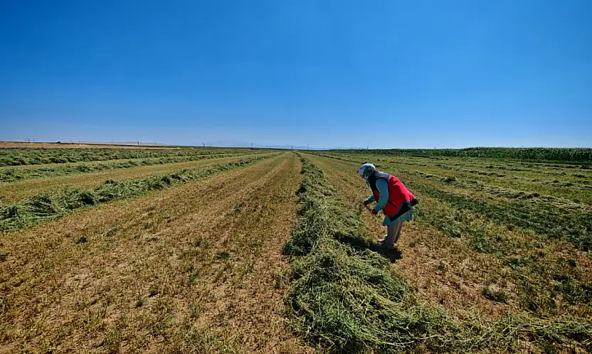 Konya'da iki ürün denetim altında! Tarlada yoğun mesai...