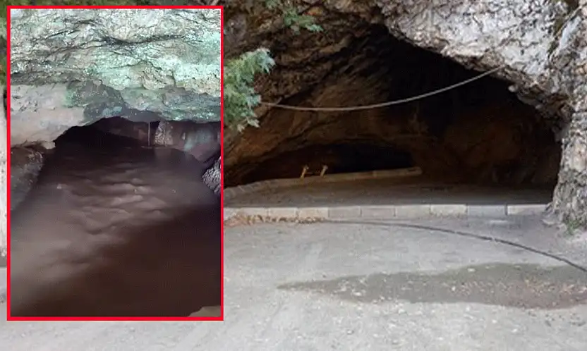 Konya'da iki yıl sonra sevindiren görüntü! Bereketle birlikte yeniden coştu