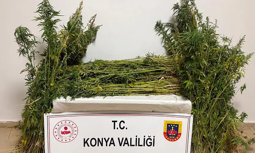 Konya'da jandarmadan peş peşe 59 operasyon! 7 tutuklama