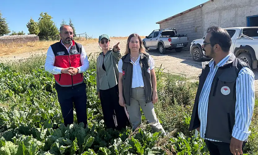 Konya'da kadınların üretim gücü için sahaya çıkıldı