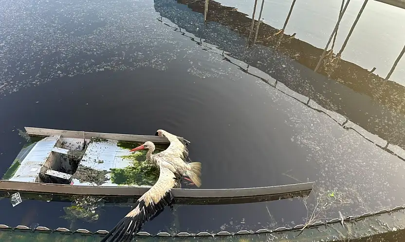 Konya'da kanal içinde mahsur kaldı! Ekipler seferber oldu