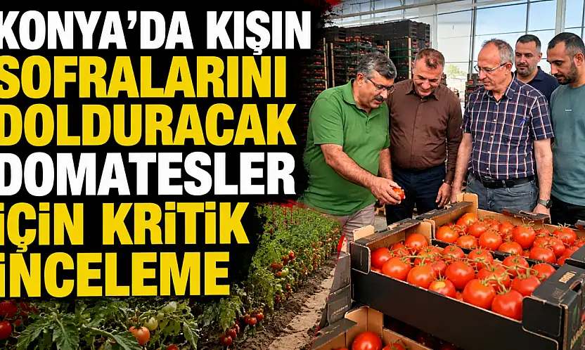 Konya'da kışın sofralarını dolduracak domatesler için kritik inceleme