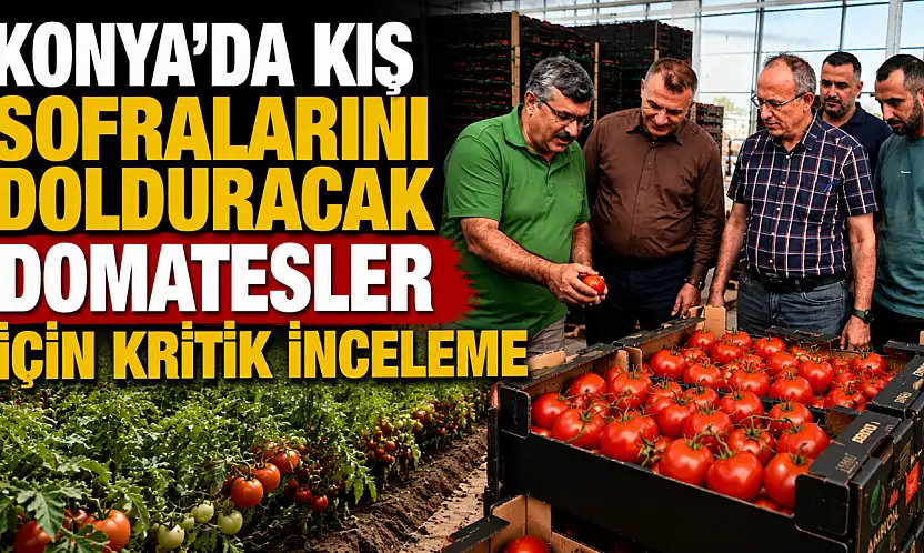 Konya'da kışın sofralarını dolduracak domatesler için kritik inceleme