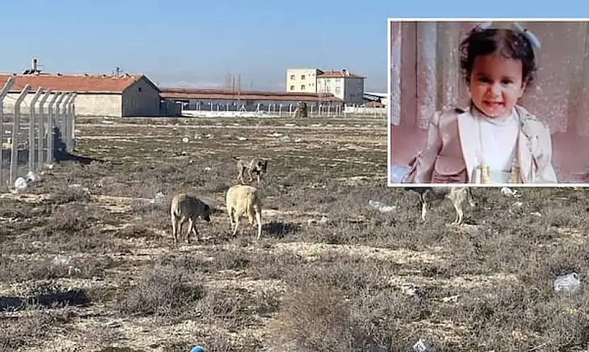 Konya'da köpeklerin parçalayarak öldürdüğü Rana bebek olayında yeni gelişme: 2 kişi hakkında ceza istendi!