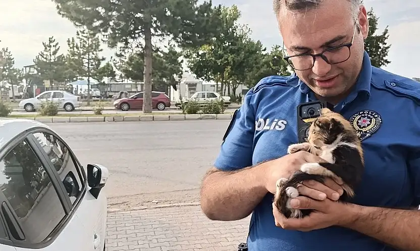 Konya'da polisten yavru kediye şefkat: Kurtarıp sahiplendiler