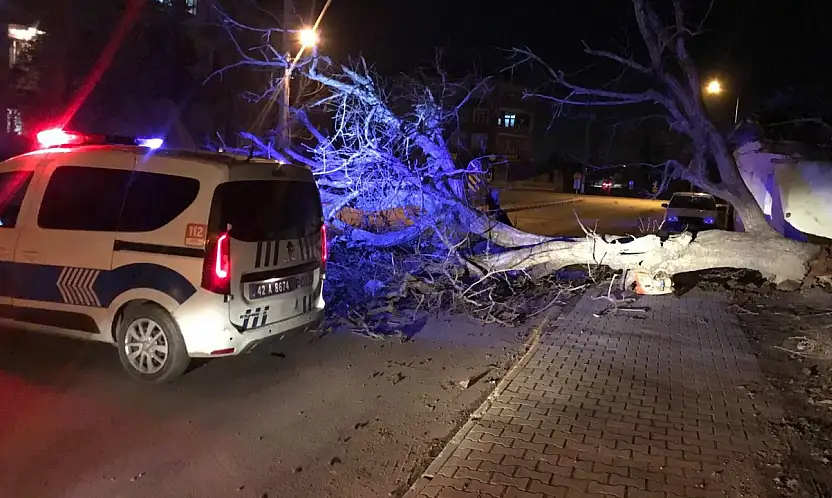 Konya'da şiddetli rüzgar yıktı geçti!
