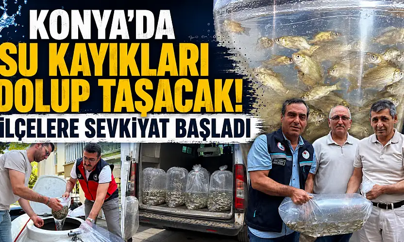 Konya'da su kayakları dolup taşacak! İlçelere sevkiyat başladı