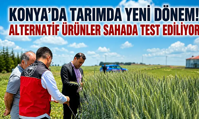 Konya'da tarımda yeni dönem! Alternatif ürünler sahada test ediliyor