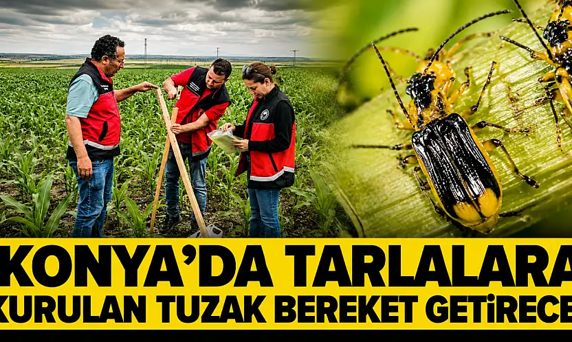 Konya'da tarlalara kurulan tuzak bereket getirecek