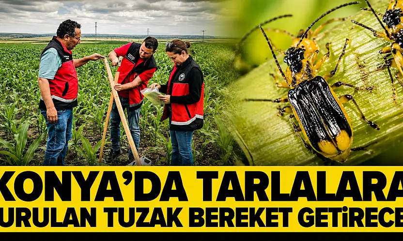 Konya'da tarlalara kurulan tuzak bereket getirecek