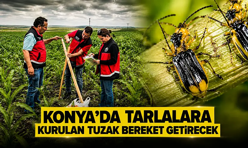 Konya'da tarlalara kurulan tuzak bereket getirecek