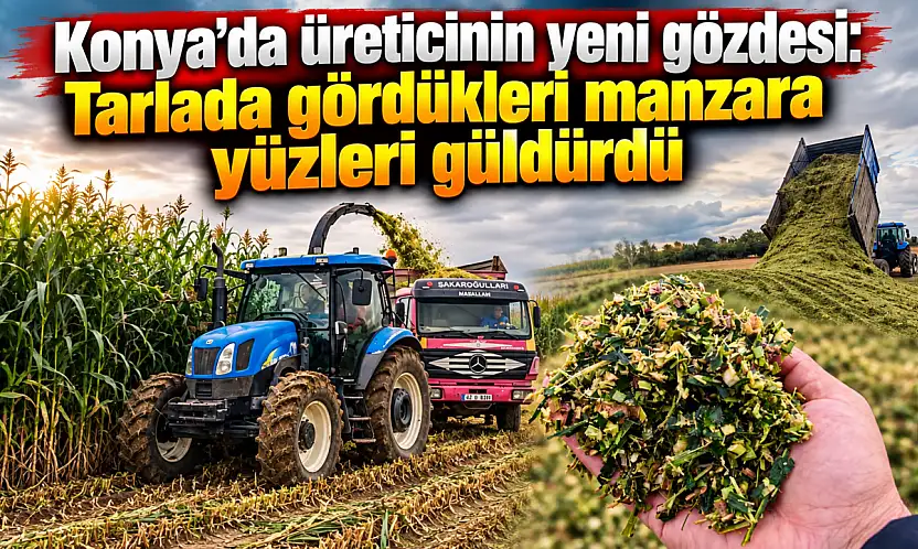 Konya'da üreticinin yeni gözdesi: Tarlada gördükleri manzara yüzleri güldürdü
