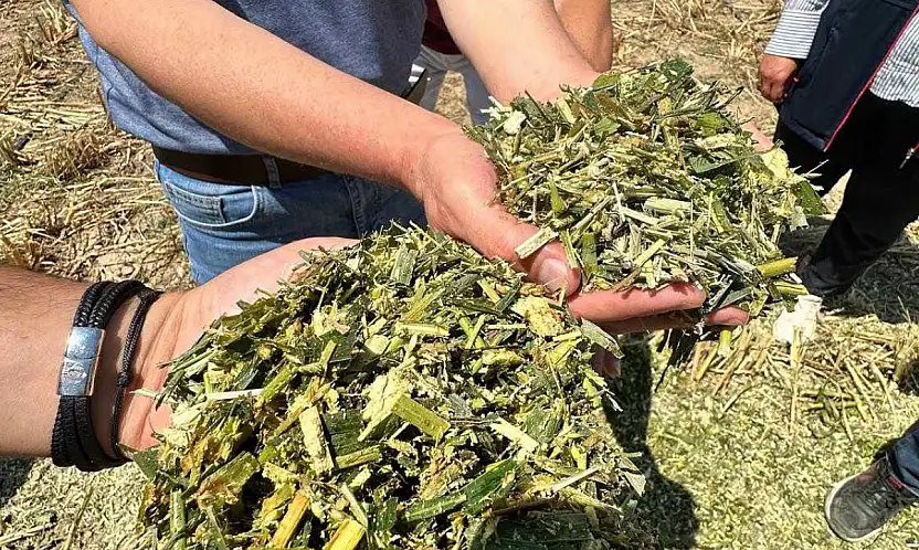 Konya'da üreticinin yüzünü güldüren proje: Hem az su harcıyor hem de tarlayı coşturuyor!