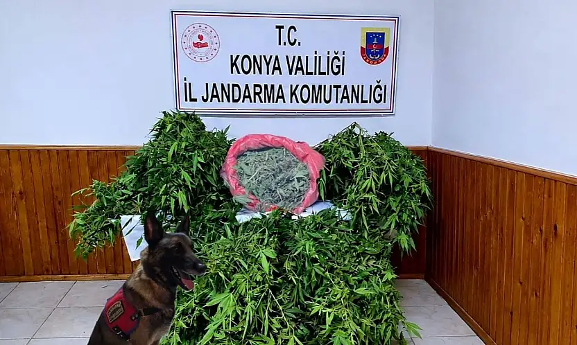 Konya'da uyuşturucu darbesi: Depoda esrar ve kenevir ele geçirildi