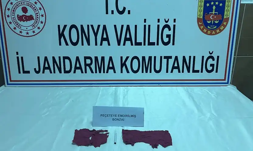 Konya'da uyuşturucu operasyonu: Bin 50 içimlik bonzai ile yakalandılar!