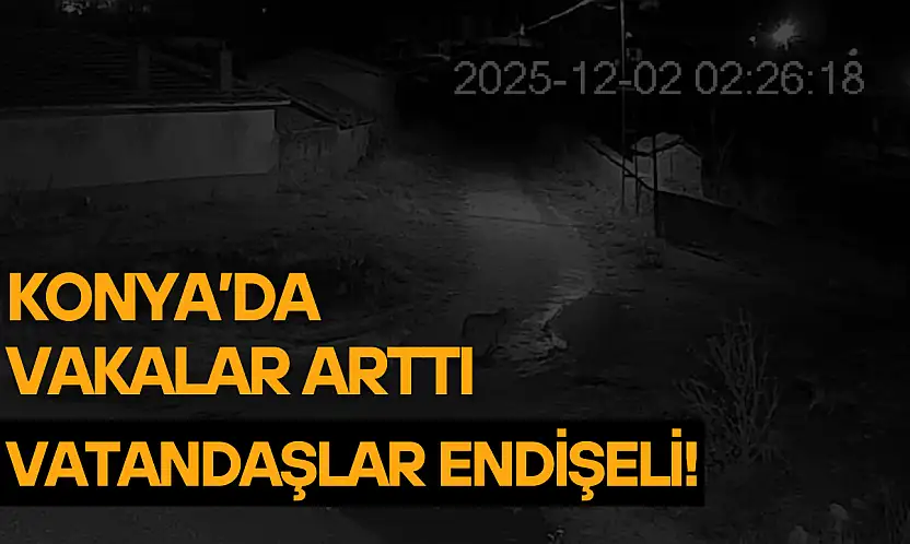 Konya'da vakalar arttı: Vatandaşlar endişeli!