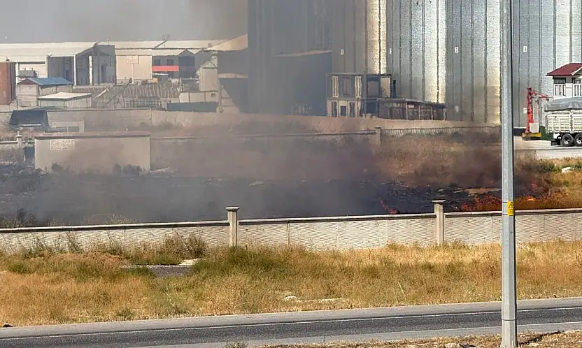 Konya'da yol kenarında yangın