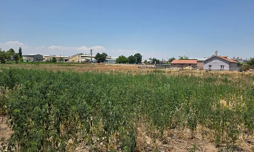 Konya'da zehir tacirlerine darbe: Çok sayıda kişi tutuklandı!